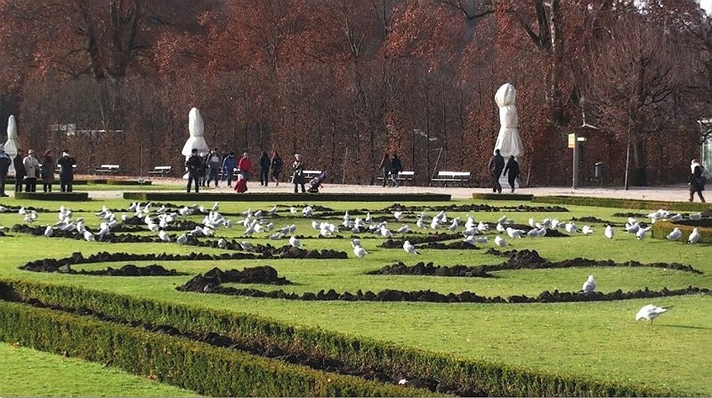 wien03.jpg - 200 hektáros kertet francia stílusban építették